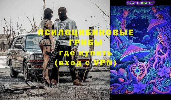 mdpv Белокуриха