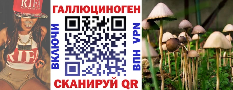 купить наркоту  Павловская  Псилоцибиновые грибы GOLDEN TEACHER 